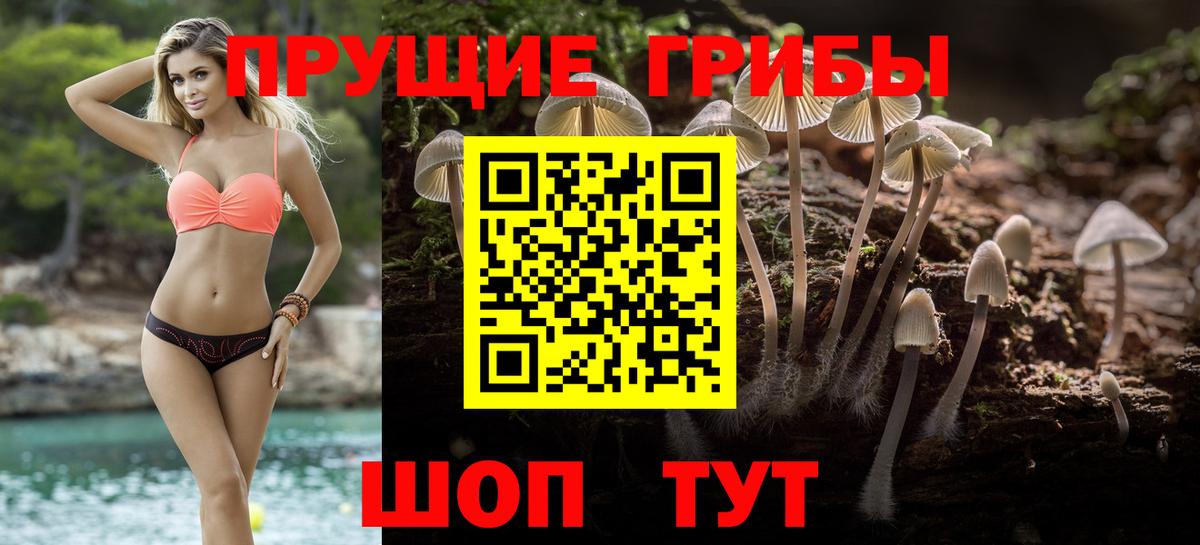 Псилоцибиновые грибы мухоморы Балабаново